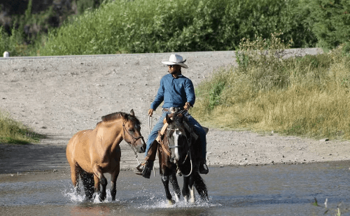 Cavaleiro que cruzou as Américas a cavalo homenageia os 70 anos da Festa do Peão