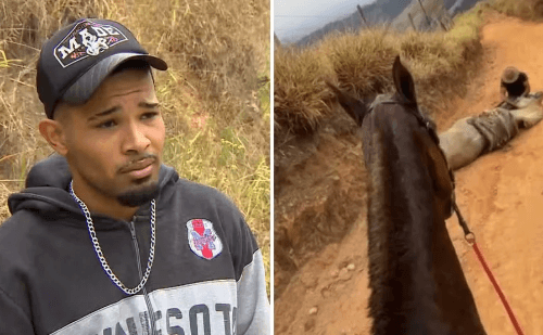 Homem admite ter decepado patas de cavalo e diz estar arrependido