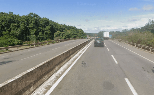 Jaguatirica atropelada é socorrida na BR-381, em Belo Oriente