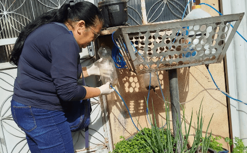 Ipatinga registra menor índice do LIRAa em anos, mas mantém alerta contra Aedes
