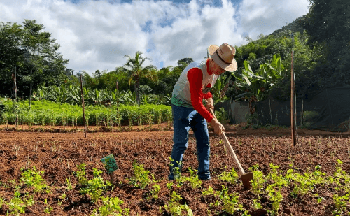 Ipatinga sedia debate sobre criação de Polo Agroecológico e Produção Orgânica no Vale do Aço