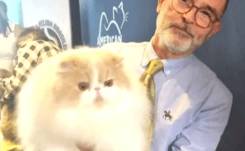 Gato de Crucilândia vence concurso internacional no Rio e vira bicampeão