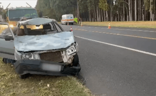 Animal morre e carro fica destruído em acidente na SP-397, interior de SP