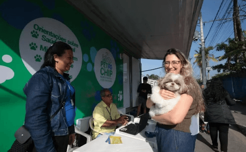 Cidades do litoral de SP recebem microchipagem gratuita para pets