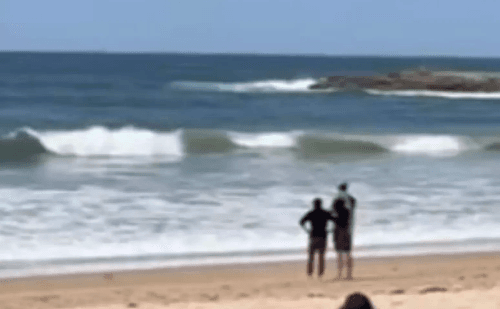 Tubarão ataca surfista, que perde as pernas e morre em praia de Sydney