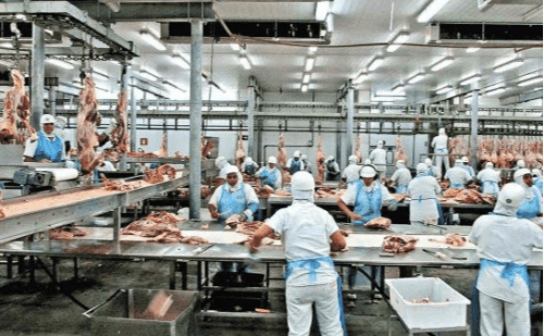 Brasil busca novos mercados após tarifaço americano atingir exportações