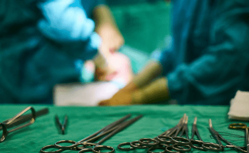 Rim de porco é testado em humanos após aprovação do FDA