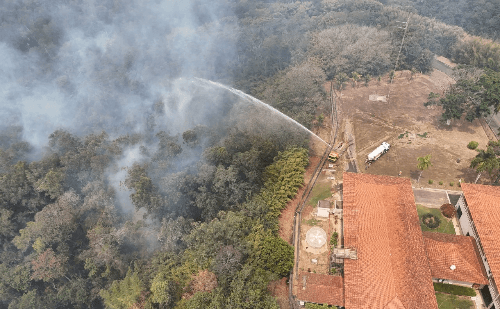 CENIBRA amplia ações contra incêndios em florestas no Leste de MG