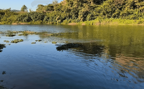 Adolescente de 13 anos morre afogada no rio Piracicaba em Nova Era