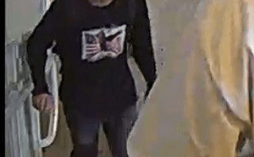 Rifle encontrado em mata pode ter sido usado no assassinato de Charlie Kirk; atirador foge