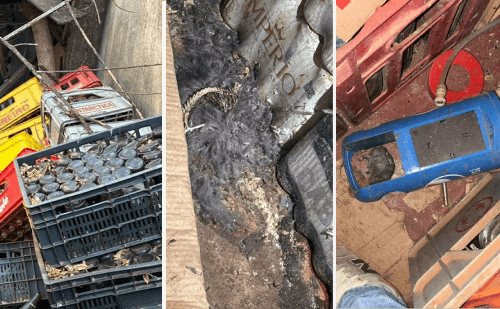 Bar em Uberaba é interditado com ratos mortos e bebidas vencidas desde 2019