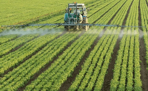 IA prevê safra com alta precisão em plantações monitoradas em MG
