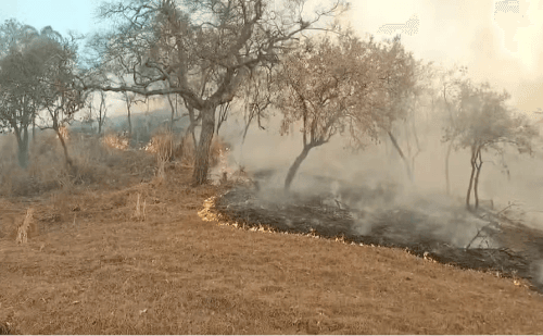 Incêndio é controlado após destruir 324 hectares em Timburi