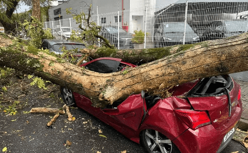 Carro destruído por galho em temporal no Vale do Paraíba