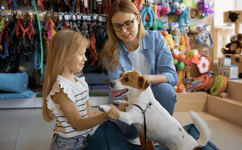 Mercado pet mineiro movimenta R$ 7,3 bilhões e cresce com nova relação entre tutores e animais