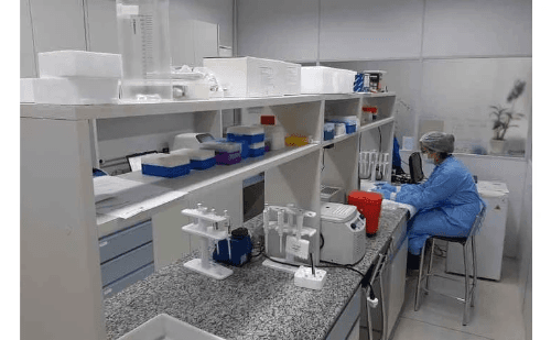 Brasil corre para importar medicamento raro contra metanol após surtos