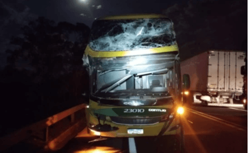 Rodovia BR-262 tem acidente com ônibus atingido por árvore em Minas