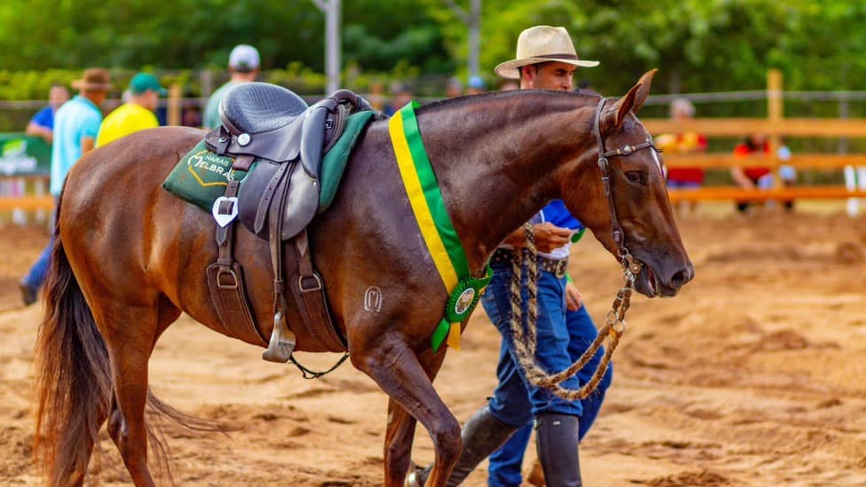 1ª Festa do Cavalo e Expo Agro em Ipatinga; confira