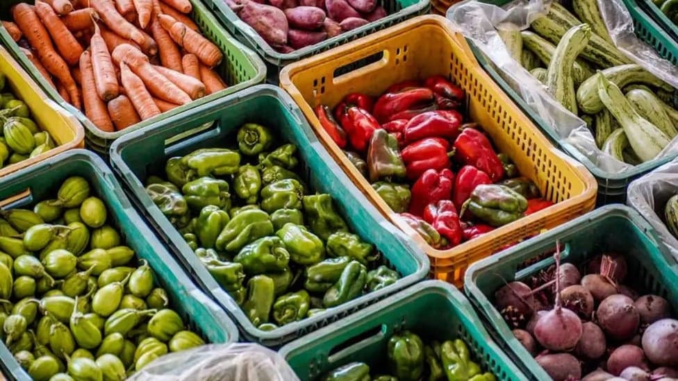 Governo propõe isenção fiscal para 18 alimentos na cesta básica