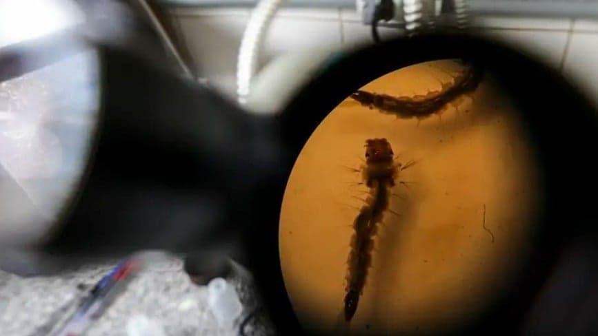 Epidemia de dengue em Minas Gerais atinge novo recorde de mortalidade em 2024