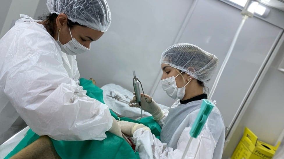 Bisturi ultrassônico garante novo avanço ao sistema de castração de cães e gatos em Ipatinga